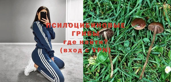 крисы Балабаново