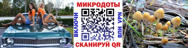 наркотики  блэк спрут рабочий сайт  Галлюциногенные грибы мухоморы  Новохопёрск 